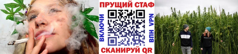 МЕФ Андреаполь