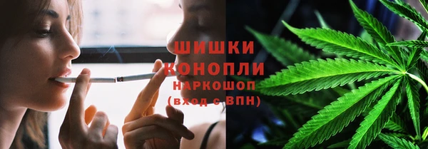 таблы Богородицк