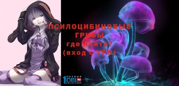 бошки Богородск