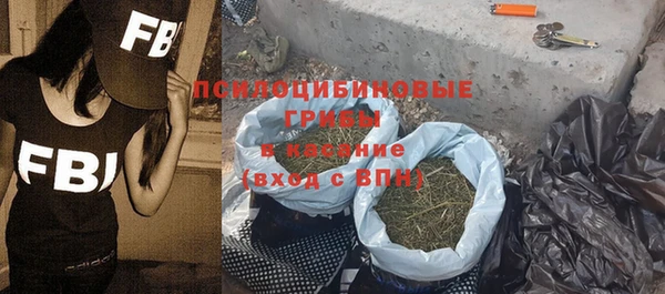 таблы Богородицк