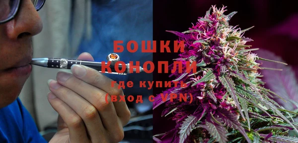 таблы Богородицк