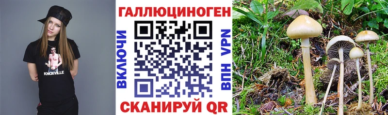 Галлюциногенные грибы мицелий  Купить  Андреаполь 